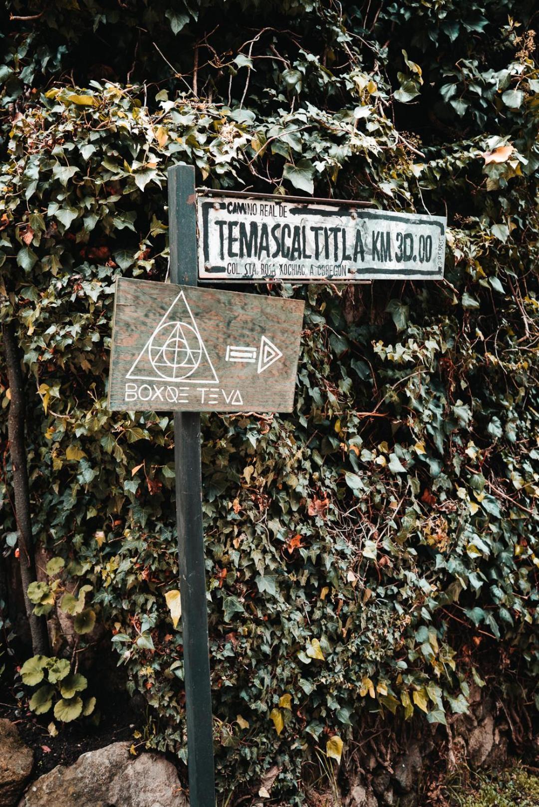 Boxque Teva Otel Meksika Dış mekan fotoğraf
