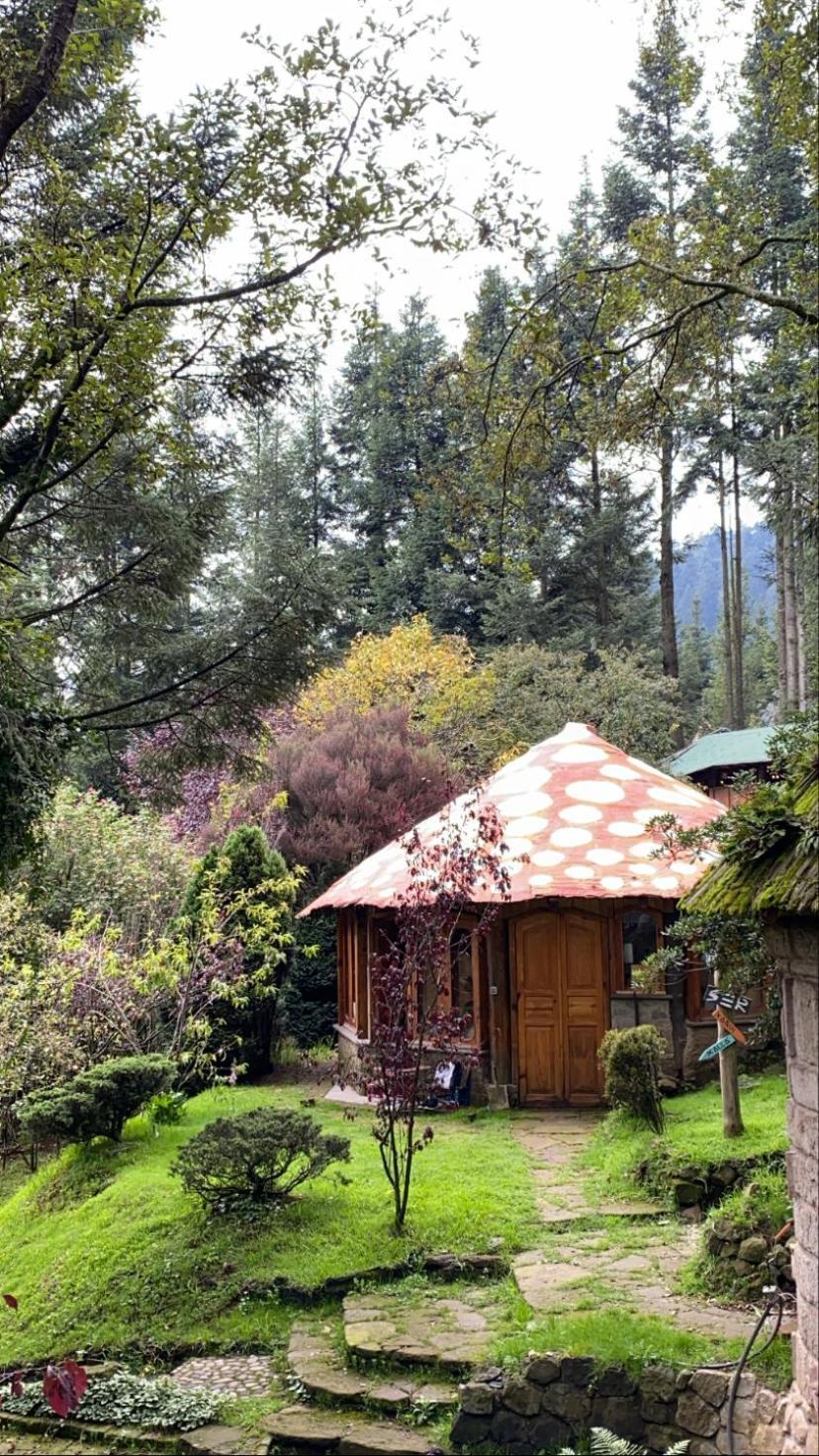 Boxque Teva Otel Meksika Dış mekan fotoğraf