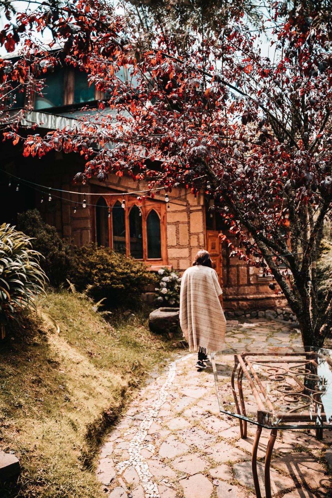 Boxque Teva Otel Meksika Dış mekan fotoğraf